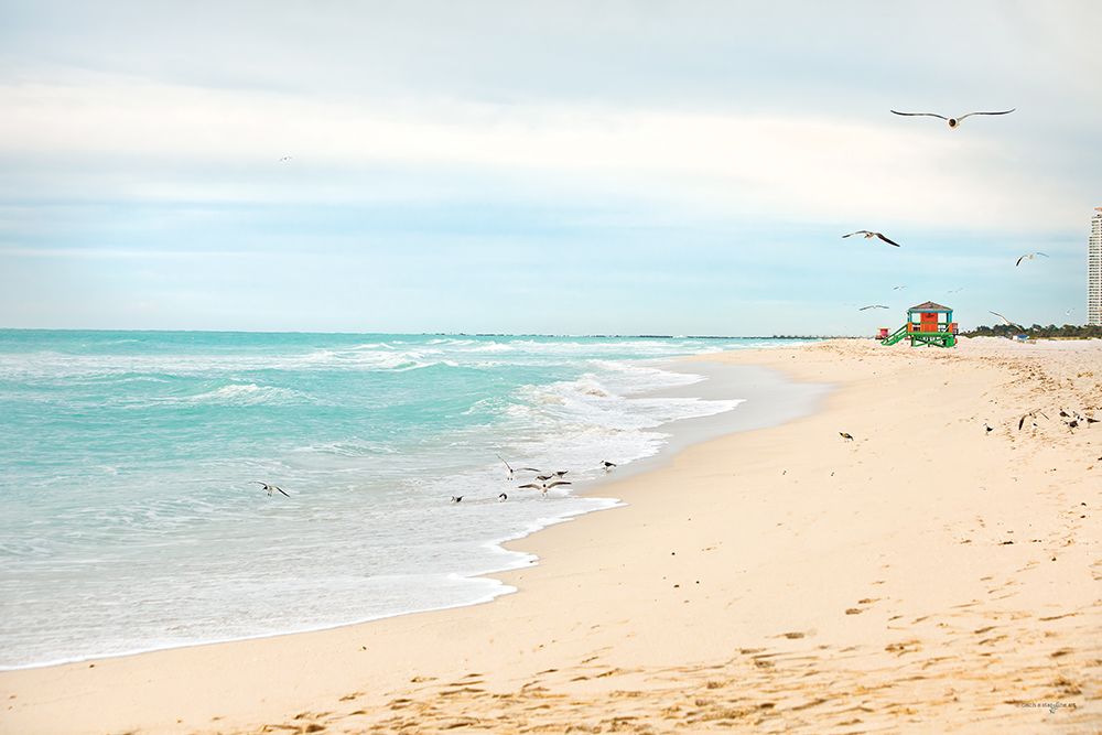 Coastal Miami Shoreline art print by Catch A Star Fine Art for $57.95 CAD