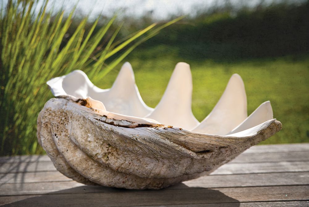 Sea Treasure art print by Catch A Star Fine Art for $57.95 CAD