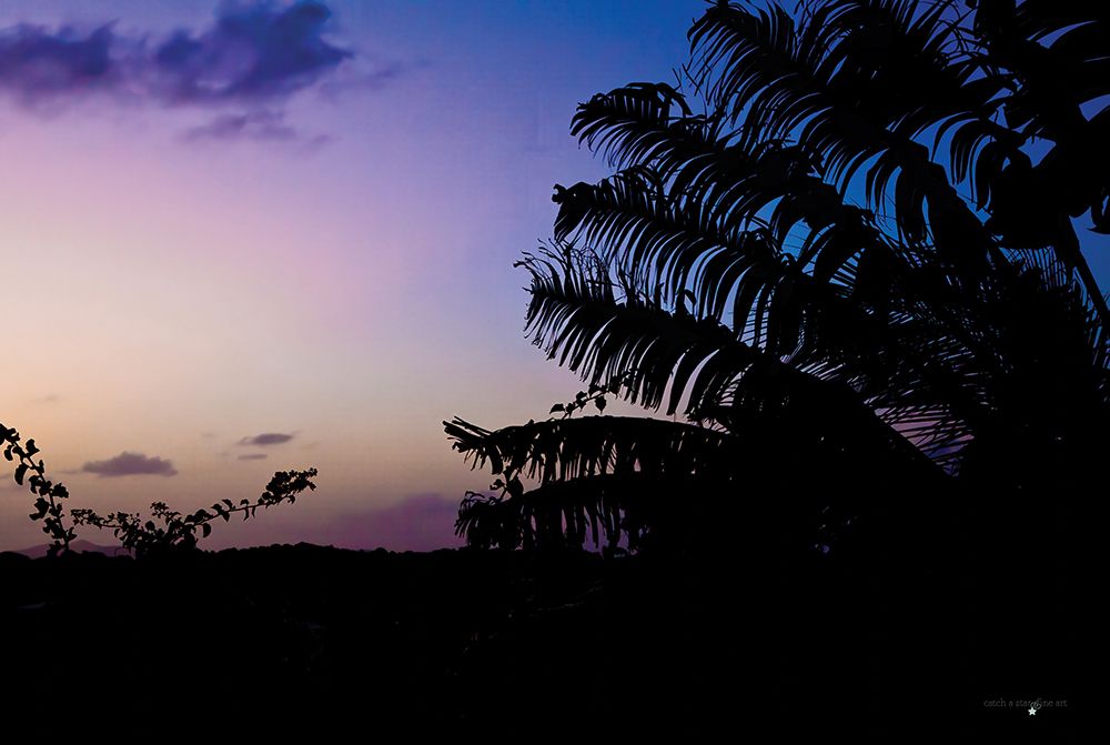 Purple Sunset art print by Catch A Star Fine Art for $57.95 CAD
