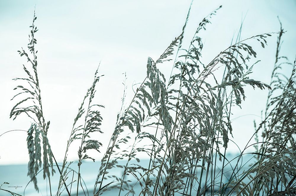 Hidden Horizon art print by Catch A Star Fine Art for $57.95 CAD