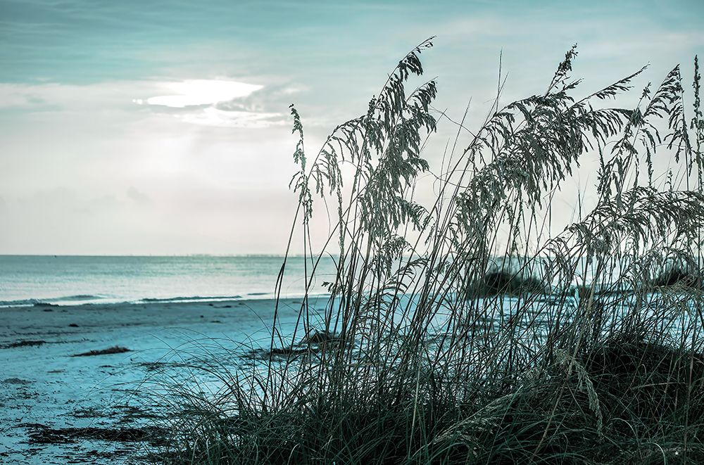 Turquoise Waters art print by Catch A Star Fine Art for $57.95 CAD