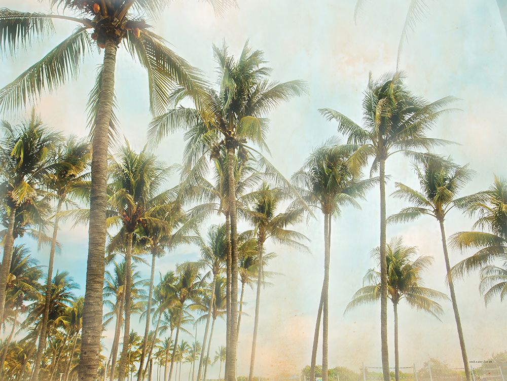 Sunrise Palms art print by Catch A Star Fine Art for $57.95 CAD