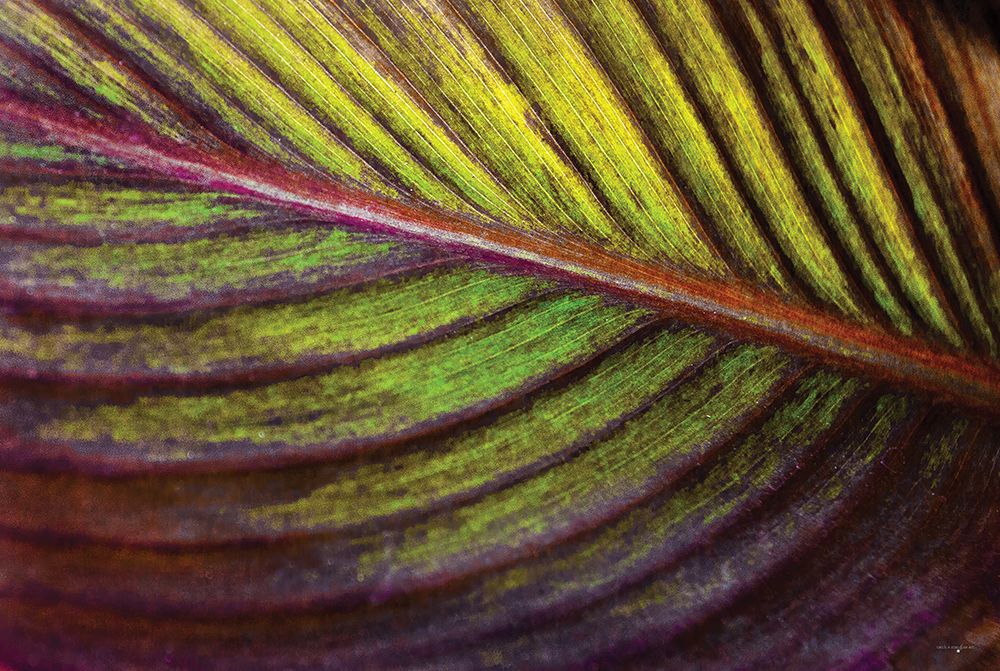 Tropical Leaf I art print by Catch A Star Fine Art for $57.95 CAD