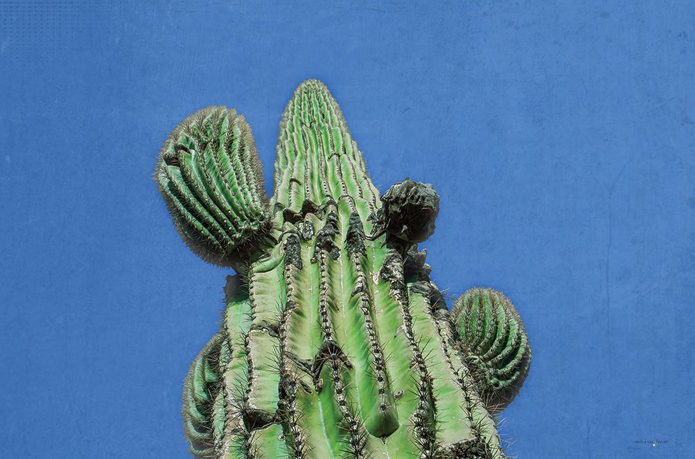 Saguaro Standing Tall I art print by Catch A Star Fine Art for $57.95 CAD