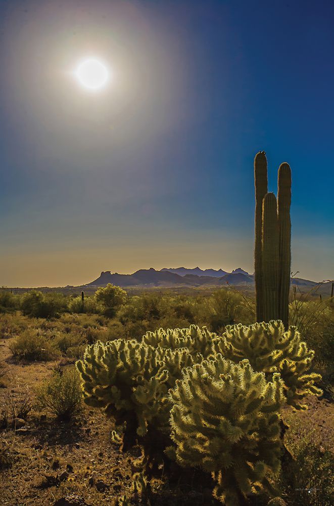 Desert Sunset art print by Catch A Star Fine Art for $57.95 CAD
