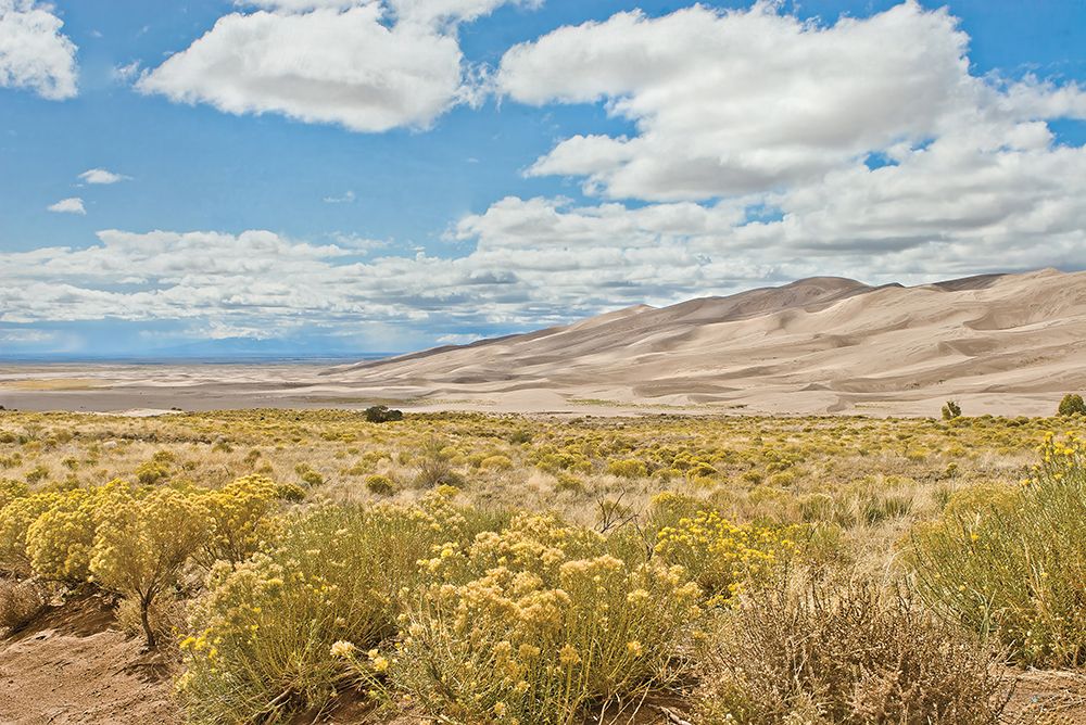 Dune Dreamscape II art print by Catch A Star Fine Art for $57.95 CAD