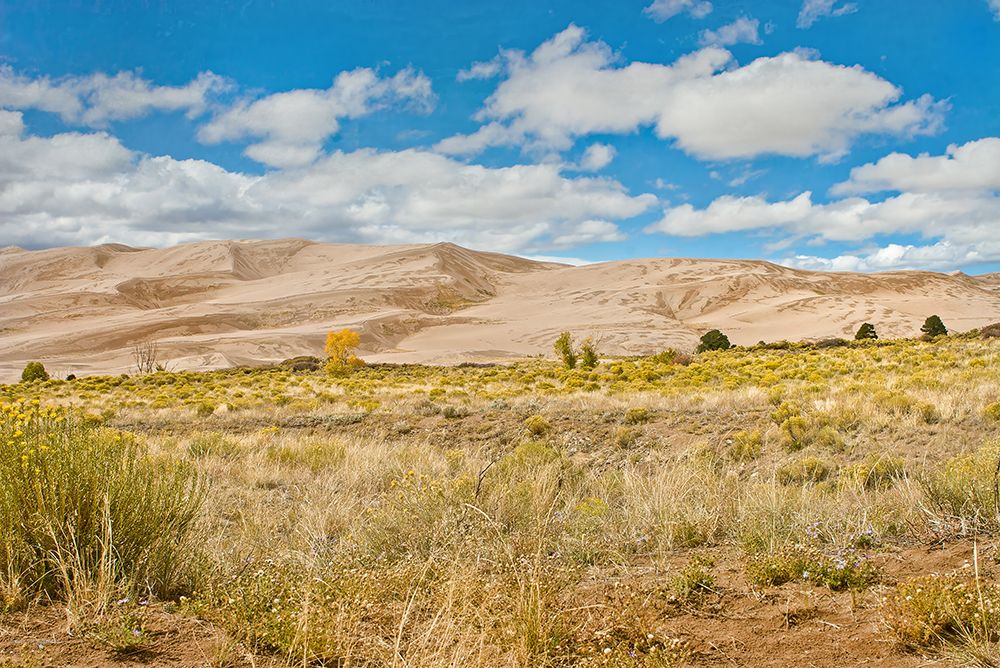 Dune Dreamscape III art print by Catch A Star Fine Art for $57.95 CAD
