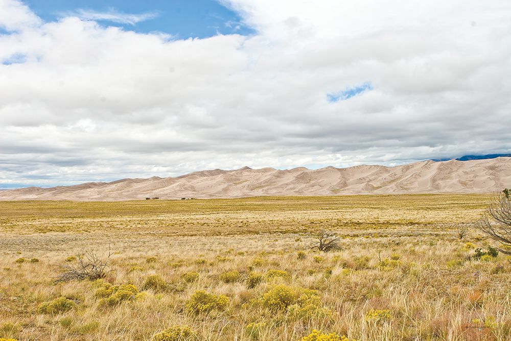 Far Away Dunes art print by Catch A Star Fine Art for $57.95 CAD