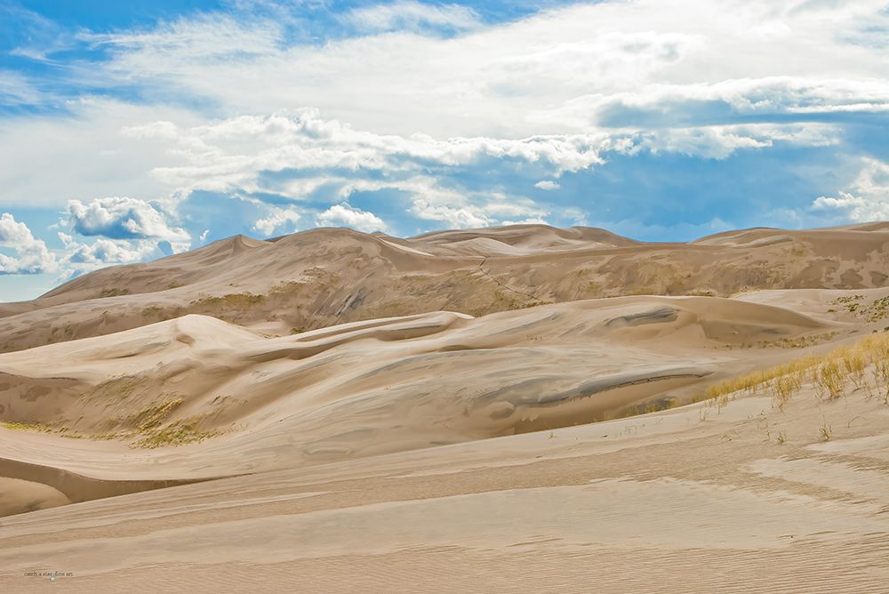 Weathered Dunes I art print by Catch A Star Fine Art for $57.95 CAD