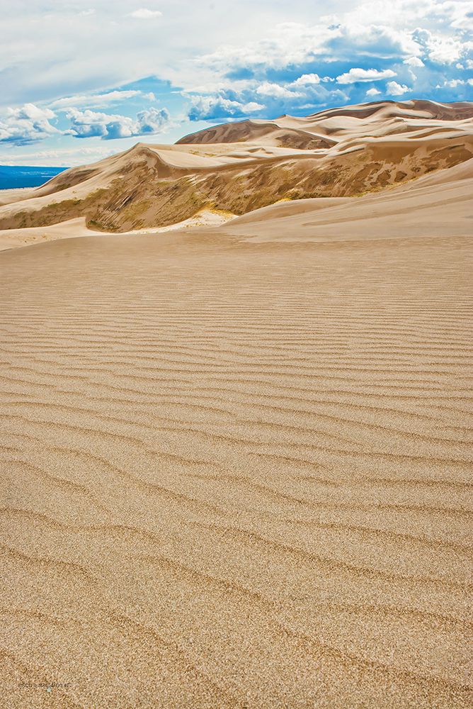 Weathered Dunes II art print by Catch A Star Fine Art for $57.95 CAD