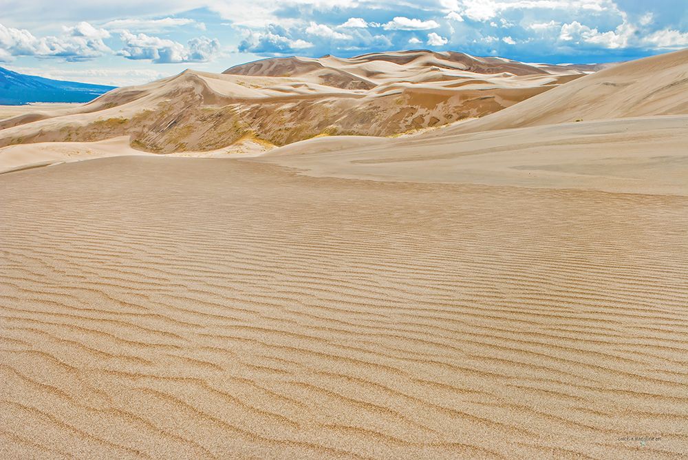 Weathered Dunes III art print by Catch A Star Fine Art for $57.95 CAD