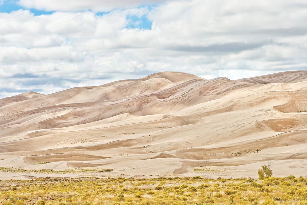 Dunes in the Distance I art print by Catch a Star Fine Art for $57.95 CAD