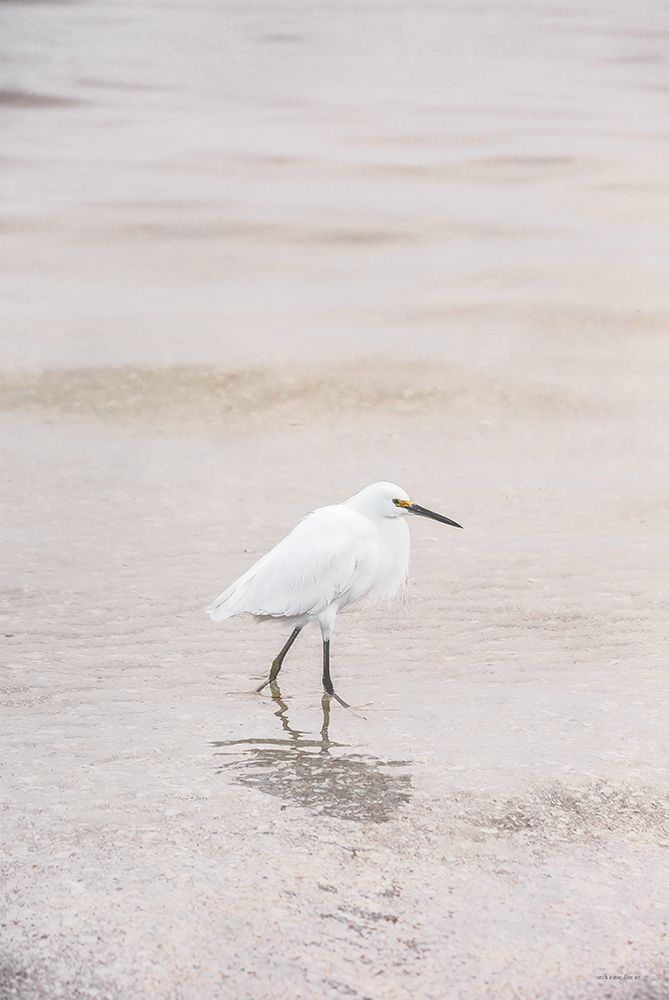Snowy Egret art print by Catch a Star Fine Art for $57.95 CAD
