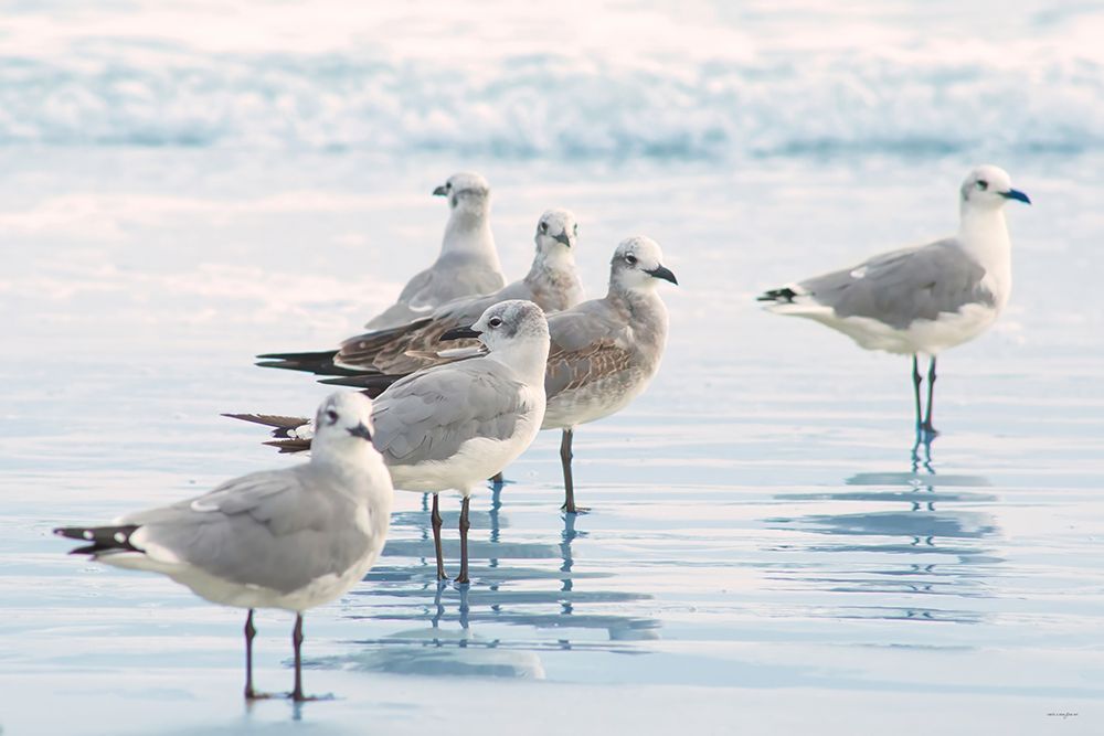 Shorebird Sentinel art print by Catch a Star Fine Art for $57.95 CAD