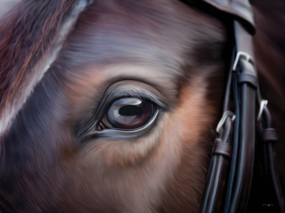 Equine Gaze art print by Catch A Star Fine Art for $57.95 CAD