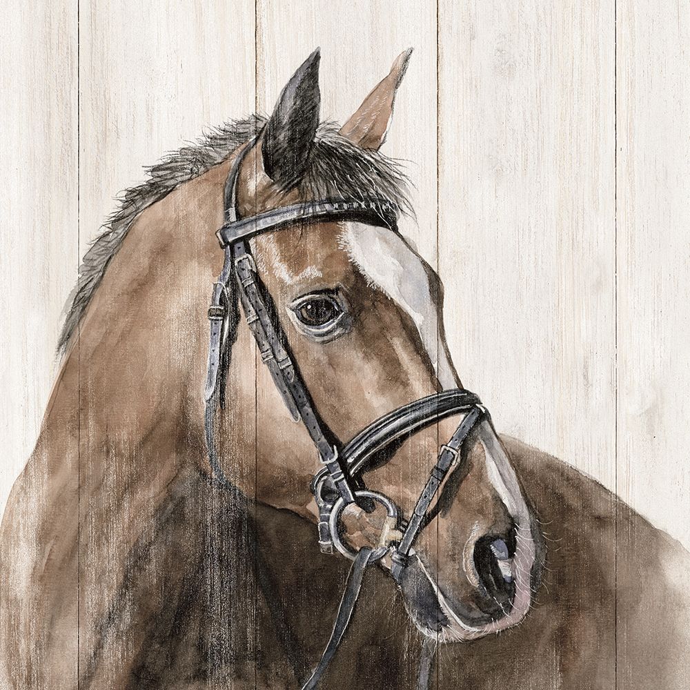 Horse Portrait art print by White Ladder for $57.95 CAD