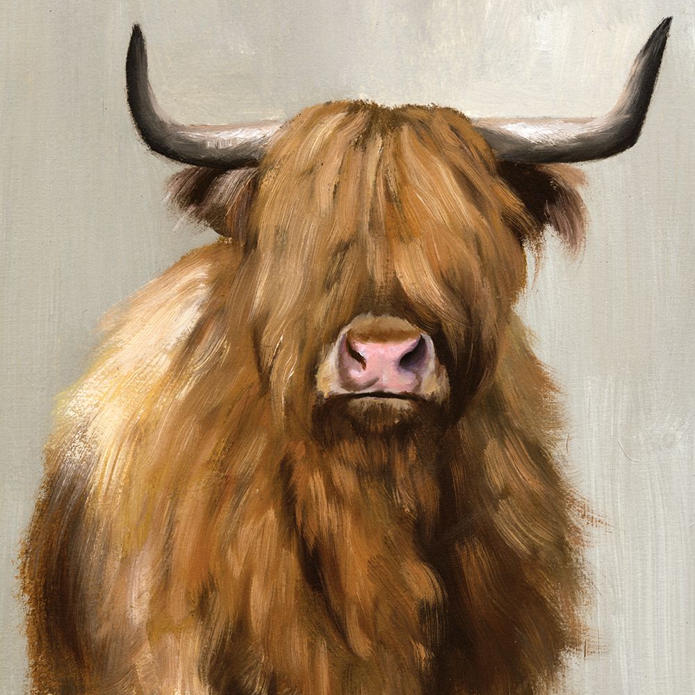 Harry the Highland art print by White Ladder for $57.95 CAD