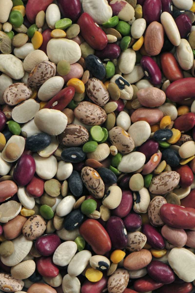 USA Colorful dried bean soup mixture art print by Steve Terrill for $57.95 CAD