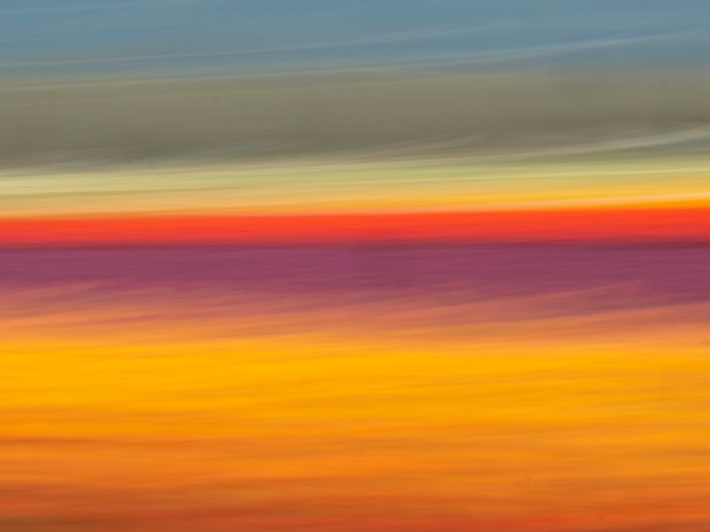 Abstract of rows of tulips at farm art print by Merrill Images for $57.95 CAD