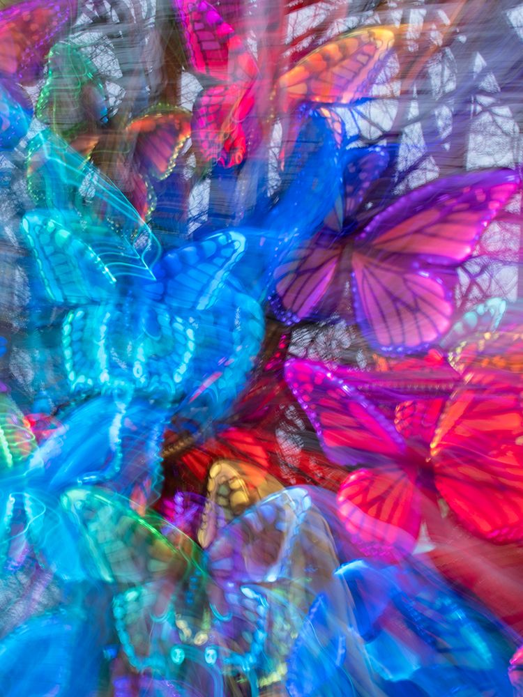 Arrangement of colorful artificial butterflies. art print by Merrill Images for $57.95 CAD