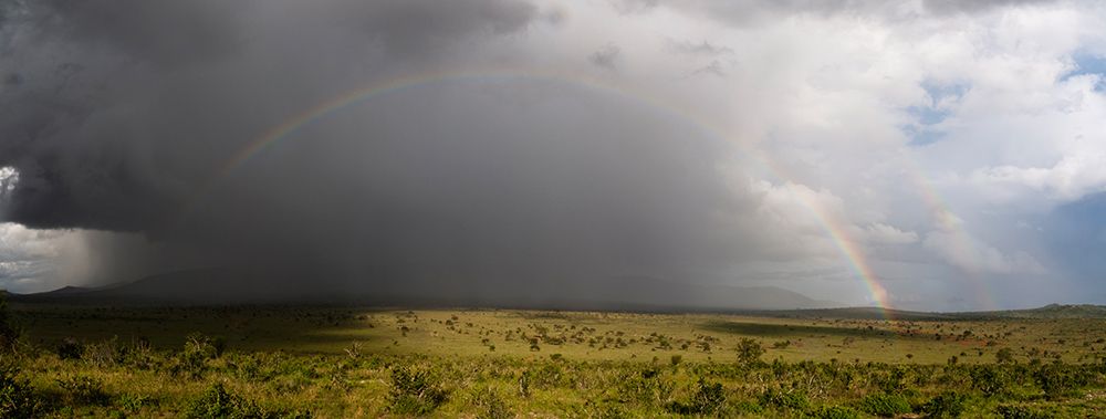A rainbow over the savannah-Tsavo-Kenya art print by Sergio Pitamitz for $57.95 CAD