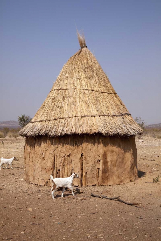 Goats and hut in Himba village, Opuwo, Namibia art print by Wendy Kaveney for $57.95 CAD
