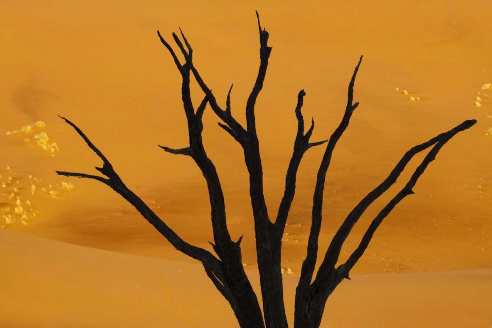 Dead tree, Dead Vlei, Sossusvlei, Namibia art print by Wendy Kaveney for $57.95 CAD