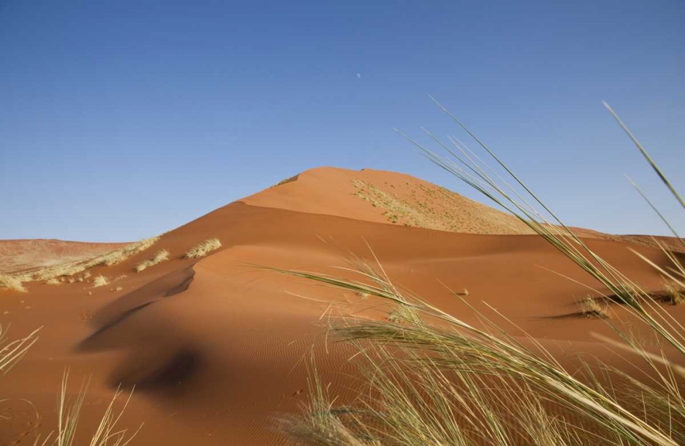 Sand Dunes, Namib Naukluft, Namib Desert, Namibia art print by Bill Young for $57.95 CAD