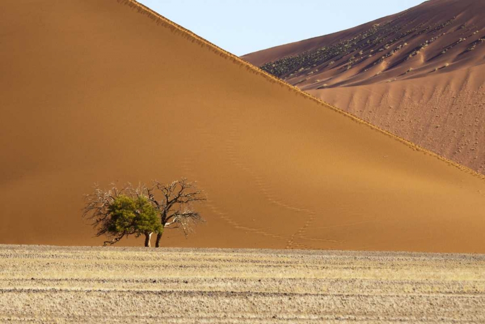 Namibia, Sossusvlei Contrasting sand dunes art print by Wendy Kaveney for $57.95 CAD