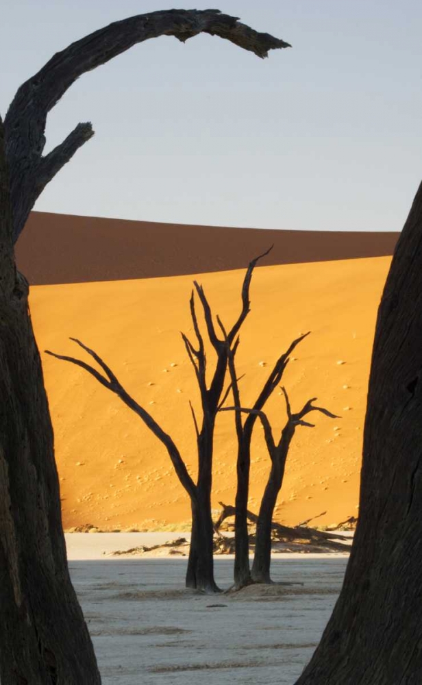 Trees and dunes, Dead Vlei, Sossusvlei, Namibia art print by Wendy Kaveney for $57.95 CAD