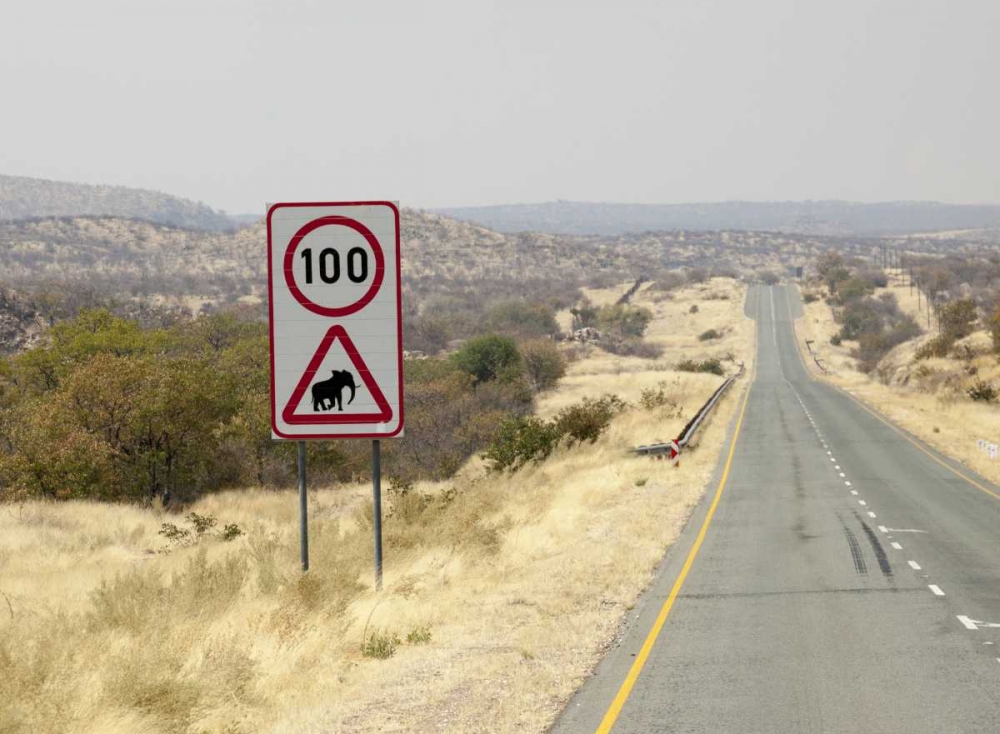 Namibia, Etosha NP Speed limit and caution sign art print by Wendy Kaveney for $57.95 CAD
