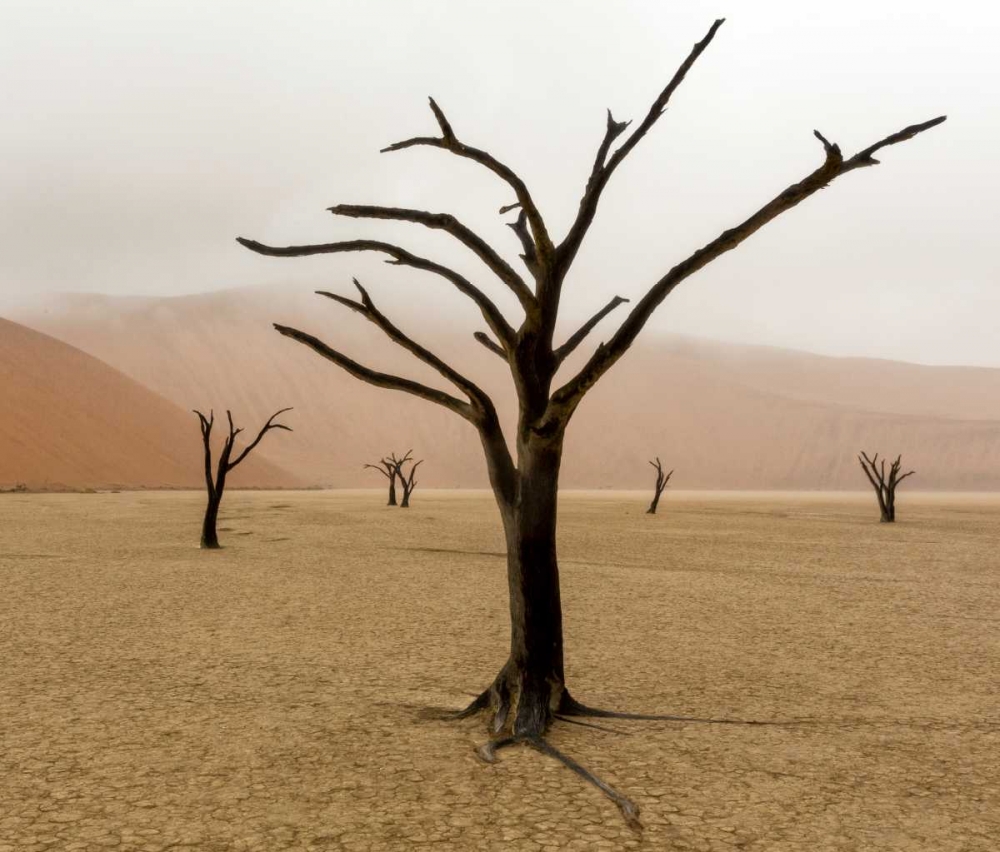 Namibia, Deadvlei Unusual rainy weather art print by Wendy Kaveney for $57.95 CAD