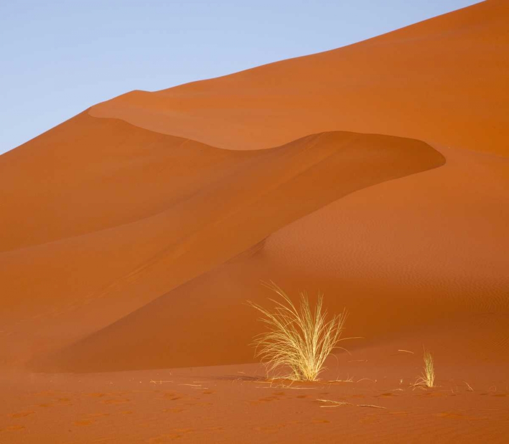 Namibia, Namib-Naukluft Park Grass and sand dune art print by Wendy Kaveney for $57.95 CAD