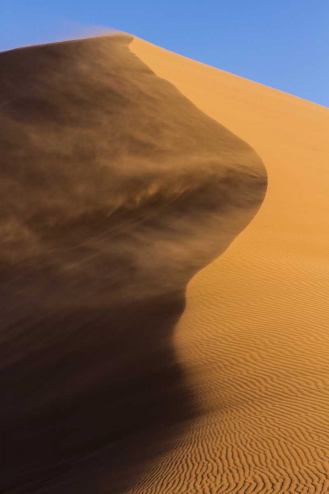Namibia, Namib-Naukluft NP Blowing sand on dune art print by Bill Young for $57.95 CAD