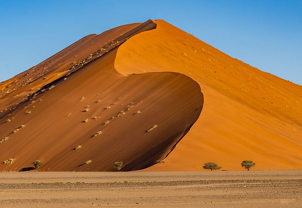 Namib-Naukluft Park, Namibia, Africa. One of worlds tallest sand dunes in the Namib Desert. art print by Murray McCallum for $57.95 CAD