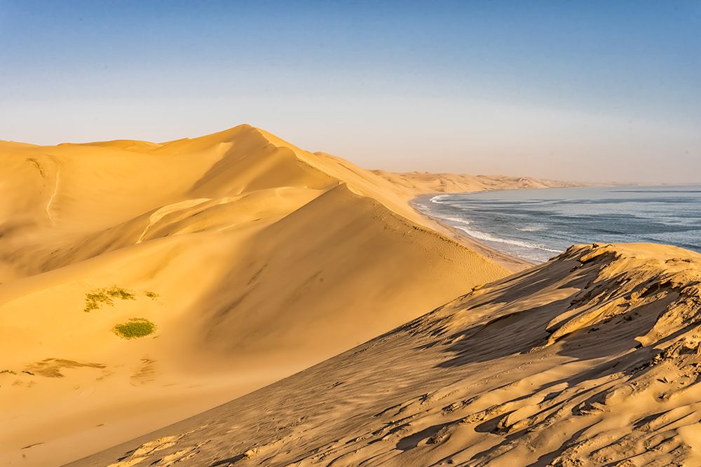 Skeleton Coast, Namibia, Africa. Namib Sand Sea in the Namib-Naukluft Park. art print by Murray McCallum for $57.95 CAD