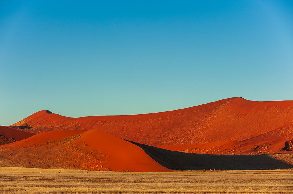 Red Sand dunes against a bright blue sky in the Sossusvlei Namib Desert-Namibia art print by Sergio Pitamitz for $57.95 CAD