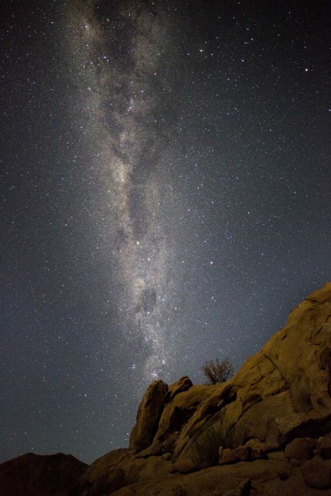 South Richtersveld NP Milky Way at night art print by Bill Young for $57.95 CAD