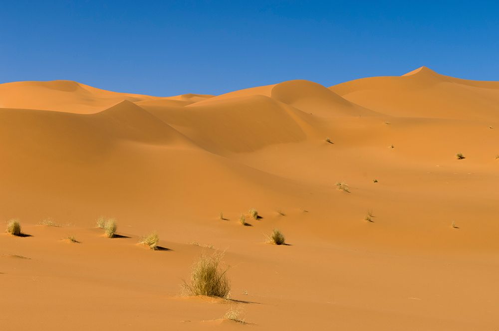 Sand dunes in the Sahara desert Akakus-Fezzan-Libya art print by Sergio Pitamitz for $57.95 CAD