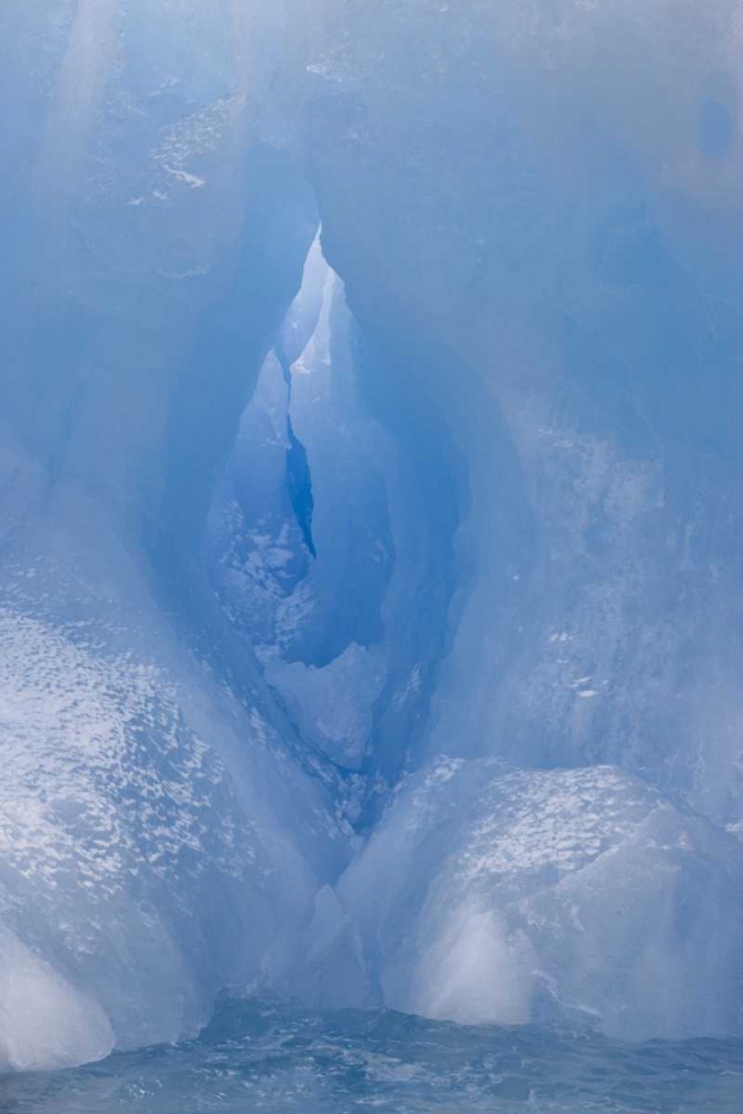 Antarctica, South Shetland A vivid blue iceberg art print by Don Grall for $57.95 CAD