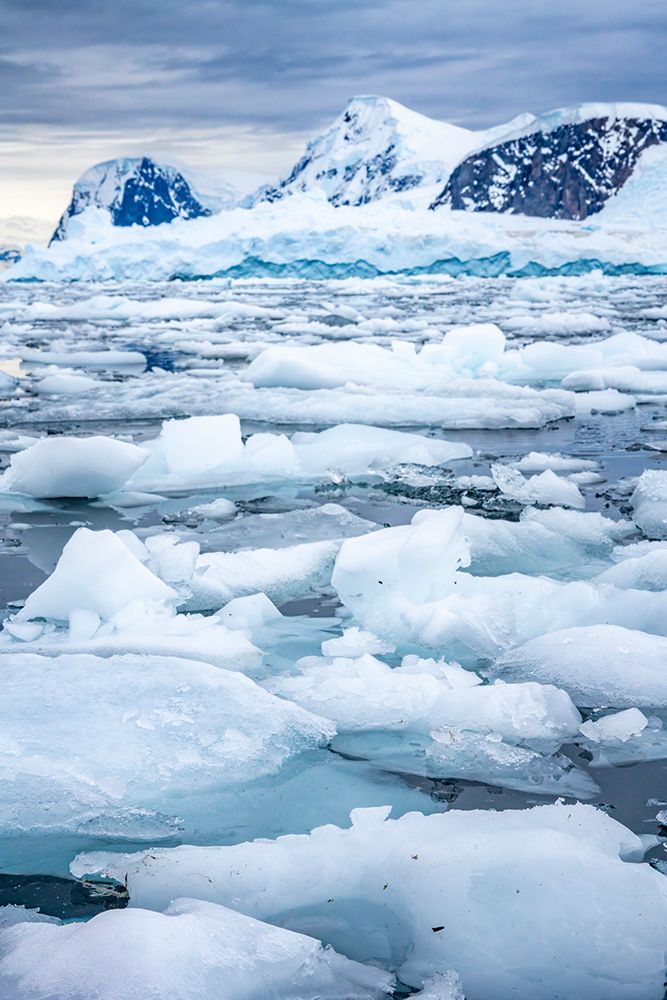 Antarctica, Andvord Bay, Neko Harbour. Landscape with icebergs and mountains. art print by Jaynes Gallery for $57.95 CAD