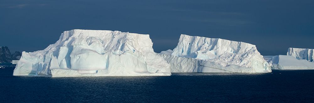 Antarctica-Southern Ocean-South Orkney Islands-Coronation Island-Iceberg Bay. art print by Cindy Miller Hopkins for $57.95 CAD
