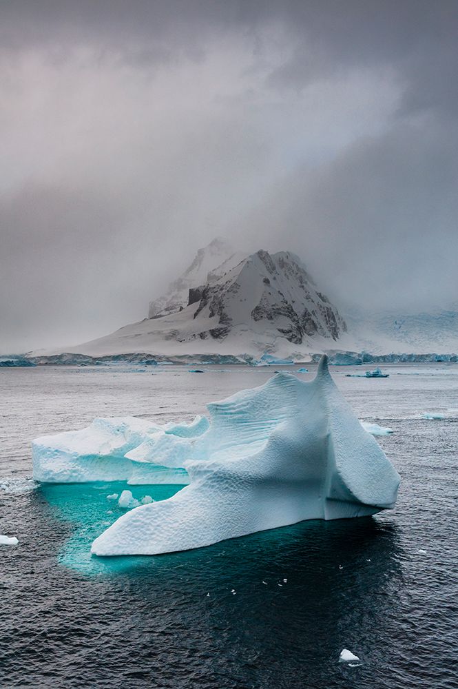 An iceberg in the Herrera Channel-Antarctica art print by Sergio Pitamitz for $57.95 CAD