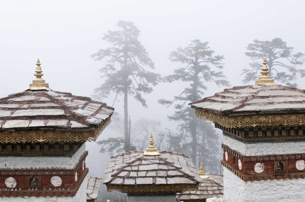 Bhutan, Dochu La Chortens and trees in fog art print by Dennis Kirkland for $57.95 CAD