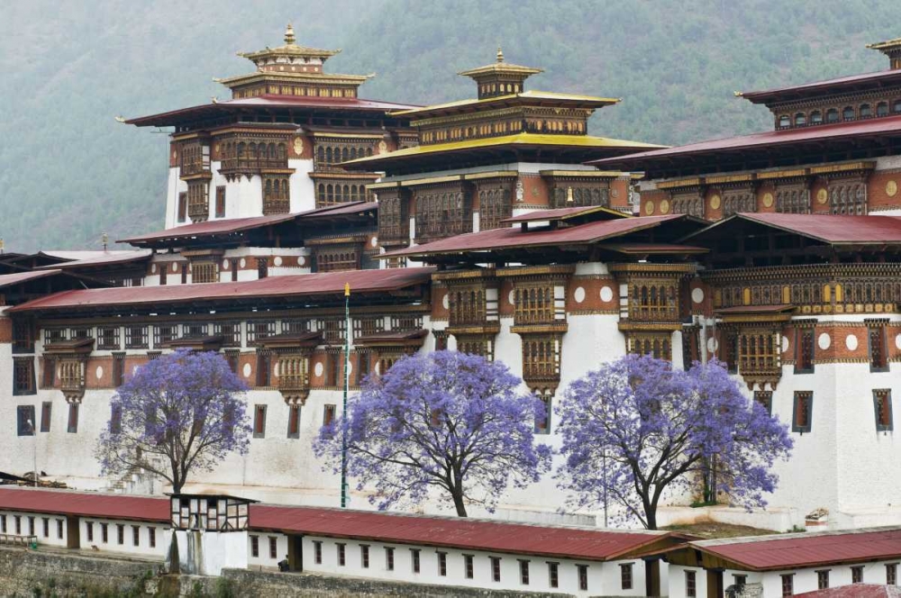 Bhutan Punakha Dzong palace with jacaranda art print by Dennis Kirkland for $57.95 CAD