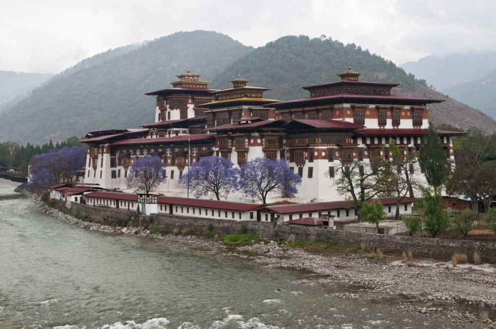 Bhutan Punakha Dzong palace with jacaranda art print by Dennis Kirkland for $57.95 CAD