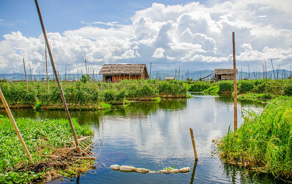 Inle Lake, Myanmar. floating gardens growing produce in the shallow lake water. art print by Murray McCallum for $57.95 CAD