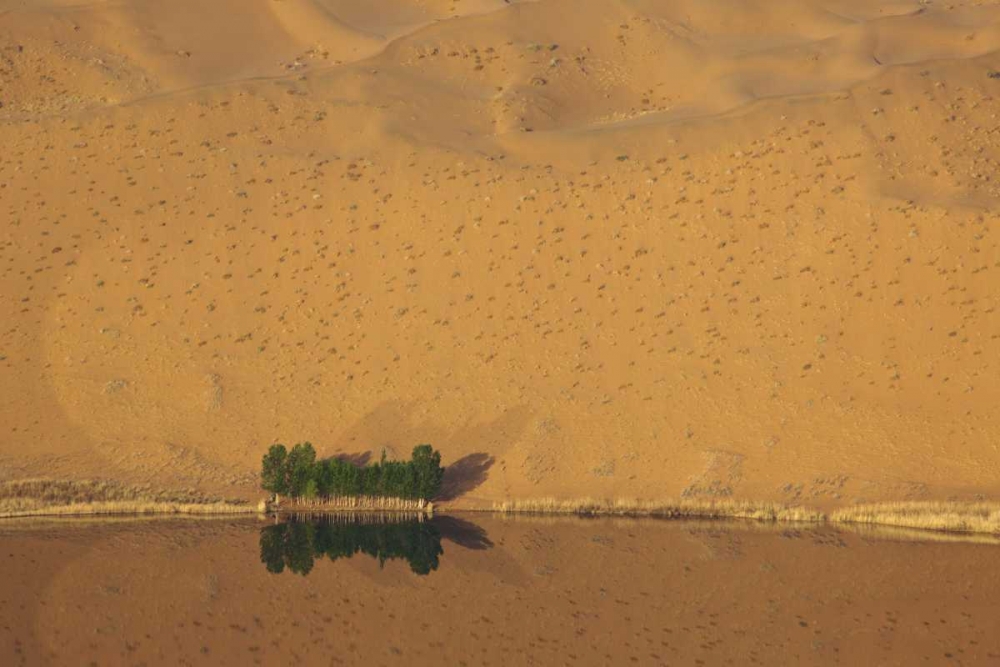 China, Badain Jaran Dune and trees by a lake art print by Ellen Anon for $57.95 CAD