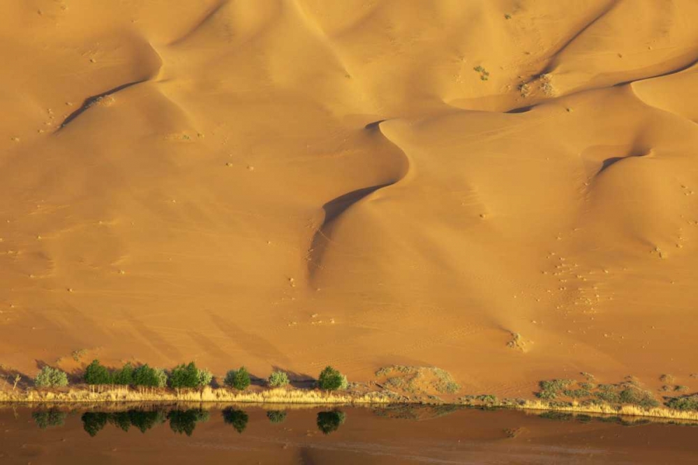 China, Badain Jaran Dune and trees by a lake art print by Ellen Anon for $57.95 CAD