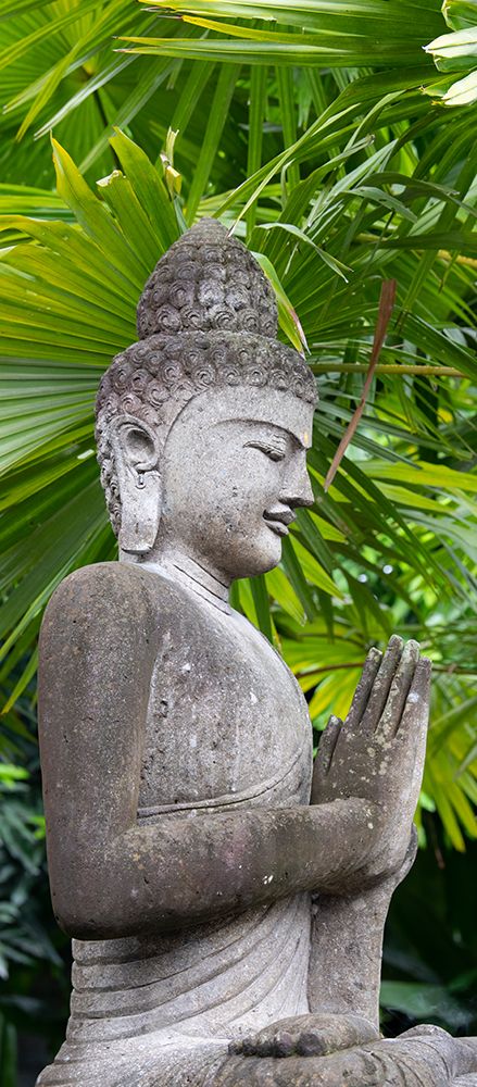 Indonesia-Bali. Buddha statue with green palms. art print by Cindy Miller Hopkins for $57.95 CAD